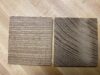 Siberian Elm samples.JPG