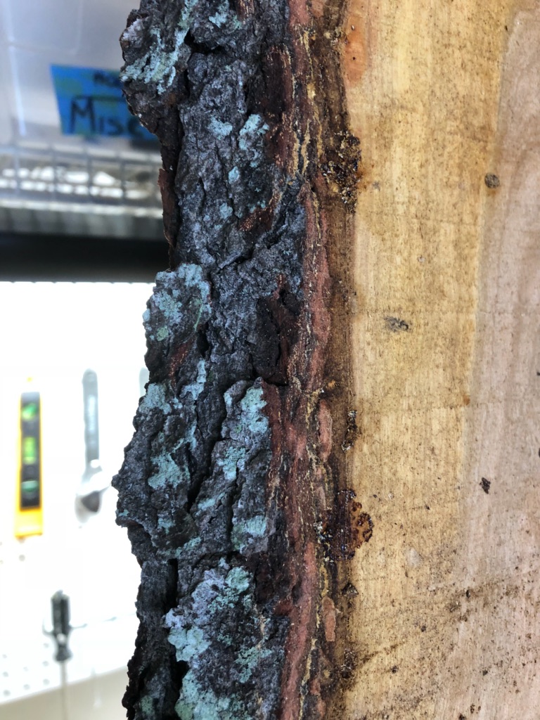 Drying Wood at Home | The Wood Database How Dry Should Wood Be Before Turning