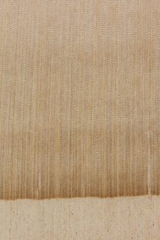 Spanish fir (endgrain 10x)