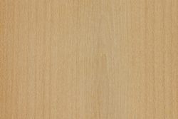 Hard Maple  The Wood Database (Hardwood)