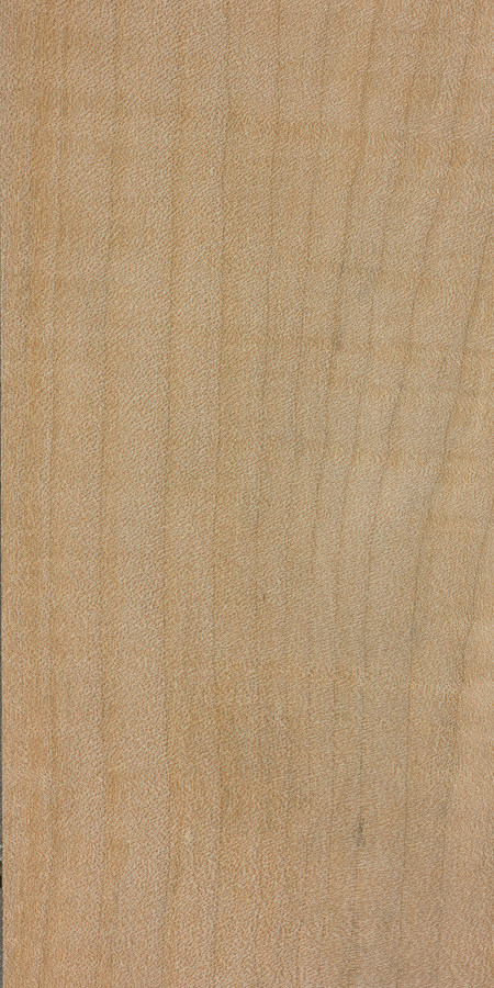 Bigleaf Maple The Wood Database Lumber Identification Hardwood