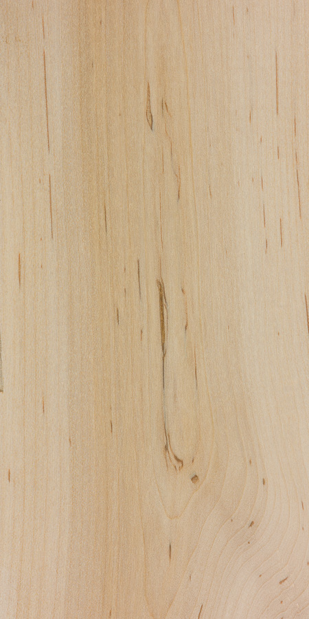 Soft Maple wood grain sample showing typical colour and figure