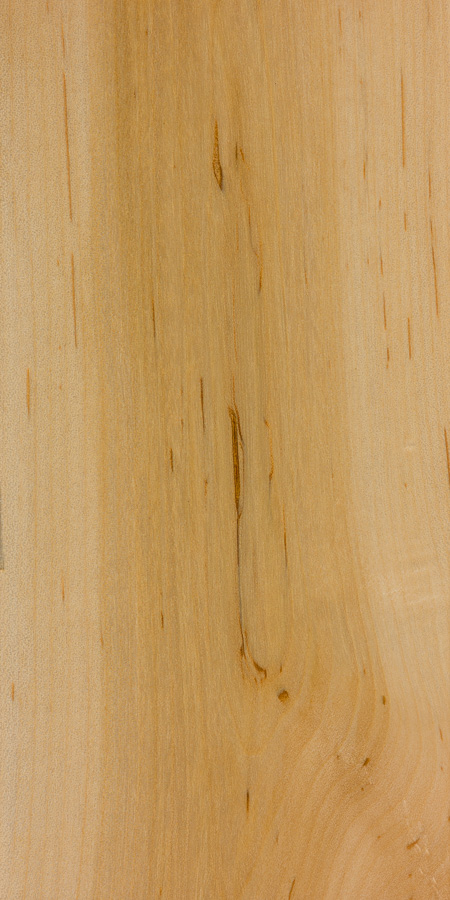 Striped maple  The Wood Database (Hardwood)