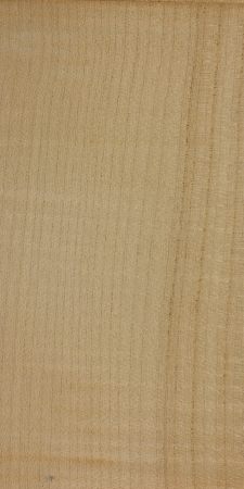 Abbildung des Materials 'Sycamore maple'