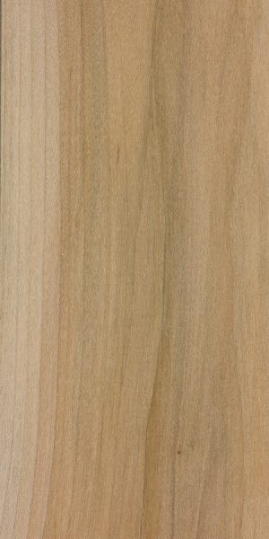 Red Maple The Wood Database Hardwood 