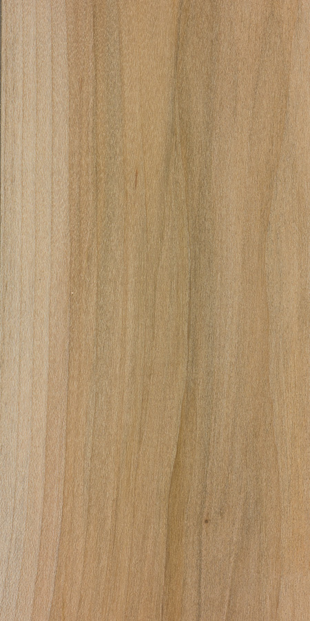 Red Maple The Wood Database Lumber Identification Hardwood - roblox wood planks texture id