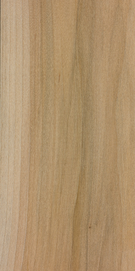 Red Maple The Wood Database Hardwood 