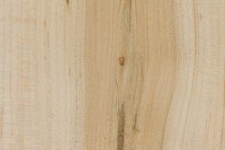 Hard Maple  properties, uses, info - Earlywood