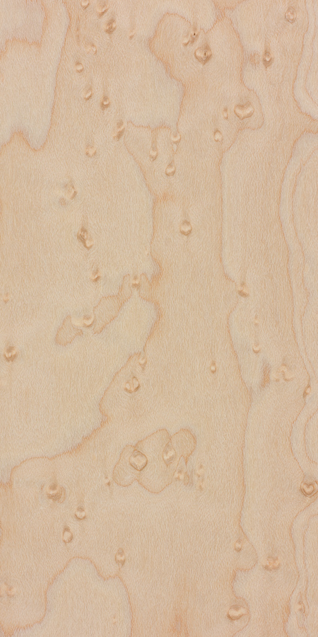 Birdseye maple  The Wood Database (Hardwood)