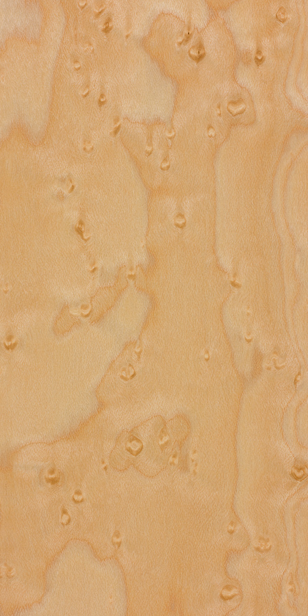 Birdseye maple  The Wood Database (Hardwood)