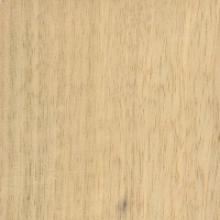 White Limba (sanded)