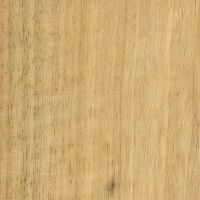 White Limba (sealed)