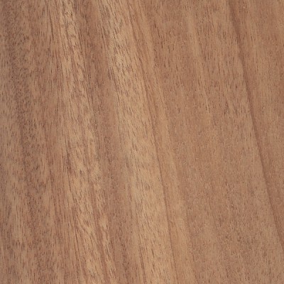 African Mahogany (Khaya senegalensis)