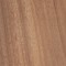 African Mahogany (Khaya senegalensis)