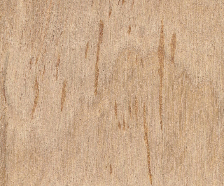 Pacific Maple The Wood Database Lumber Identification (Hardwood)