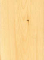 Alaskan Yellow Cedar (sealed)