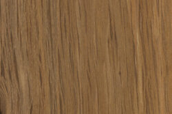 Australian Buloke | Wood Lumber Identification (Hardwood)