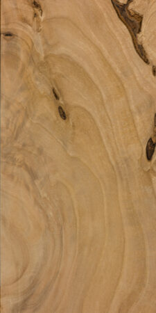 image of the material 'European alder'