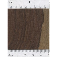 Amazon Rosewood (endgrain)