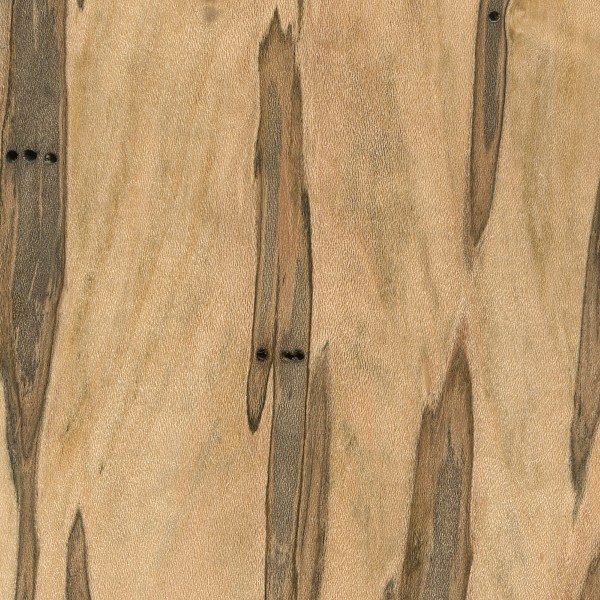 Ambrosia Maple The Wood Database, Wormy Maple Hardwood Flooring