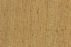 Cerejeira (Amburana cearensis)