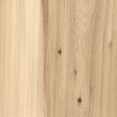 American Elm | The Wood Database (Hardwood)