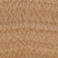 American Hornbeam (endgrain 10x)