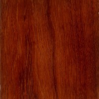 Andaman Padauk (sealed)