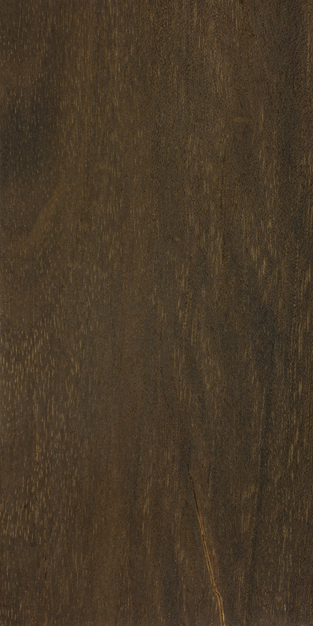 Bois de Rose  The Wood Database (Hardwood)