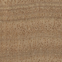 Anigre (endgrain 10x)