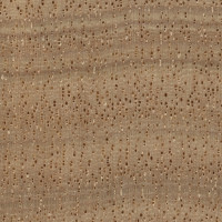 Anigre (endgrain 10x)