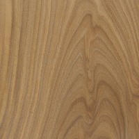 Argentine Lignum Vitae (Bulnesia sarmientoi)