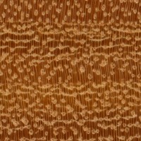 Argentine Osage Orange (endgrain 10x)