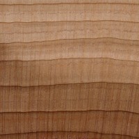 Aromatic Red Cedar (endgrain 10x)