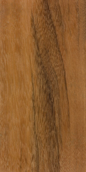 Goncalo Alves | The Wood Database (Hardwood)