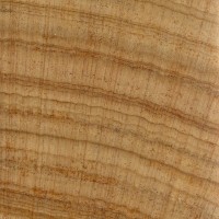 Australian Cypress (endgrain 10x)