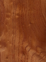 Australian Red Cedar (sealed)