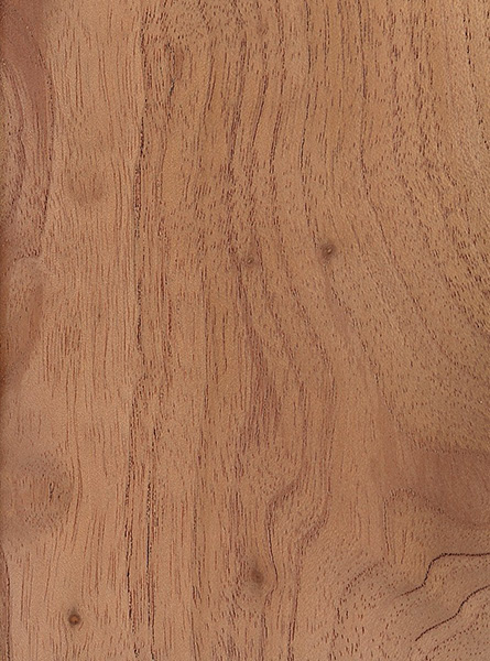 Australian Red Cedar The Wood, Types Of Australian Wood For Furniture