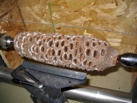 Banksia pod mounted on lathe