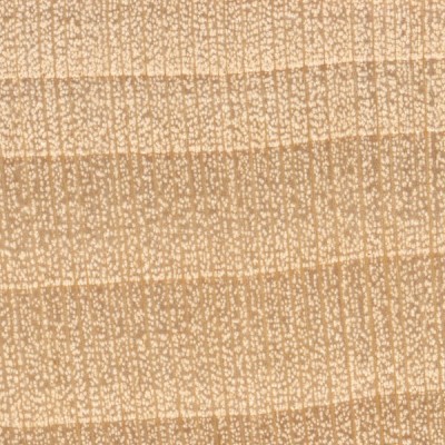 Basswood (endgrain 10x)