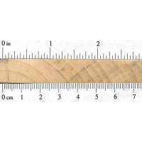 Bigtooth Aspen (endgrain)