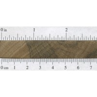 Limba (endgrain)