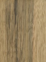 Black Limba (sealed)
