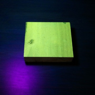 Black Locust: fluorescence (under blacklight)