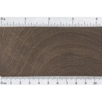 Black Mesquite (endgrain)