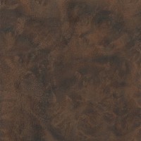 Black Walnut (burl)