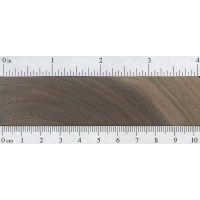 Black Walnut (endgrain)