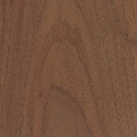 Black Walnut (sealed)