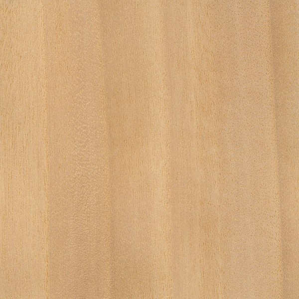 White Willow The Wood Database (Hardwood)