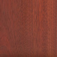 Bloodwood (sealed)